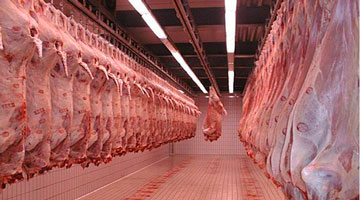 Экранирование холодильных камер для хранения мяса